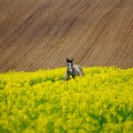 Obecne optymalizacja treści w realnościach transformacji zachodzących w wynikach wyszukiwania i kanałach społecznościowych